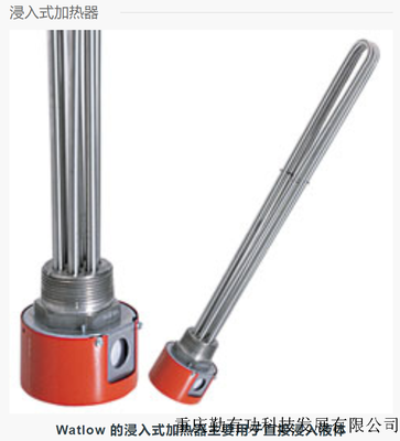 侵入式加热器